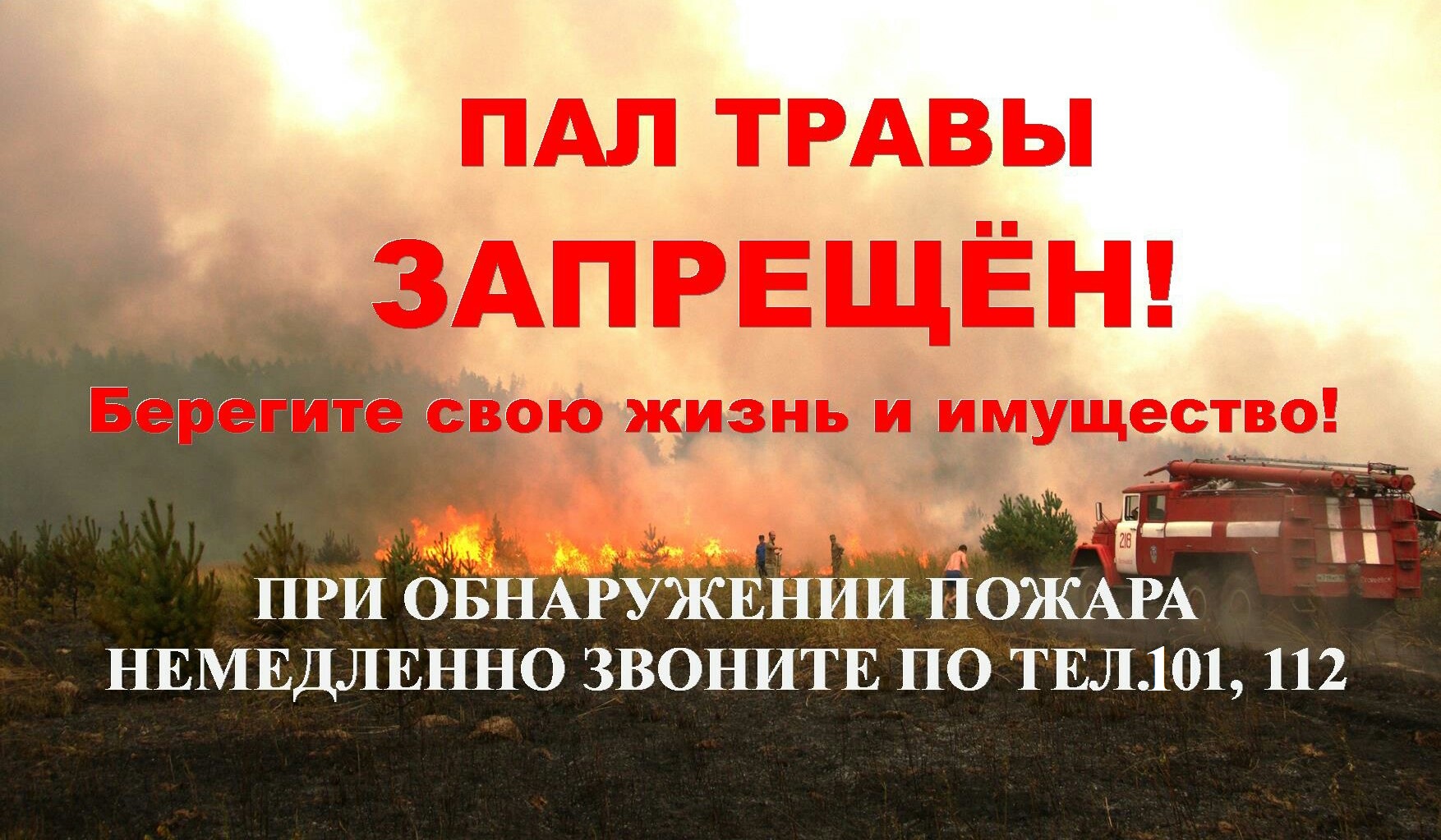 1_275.jpg