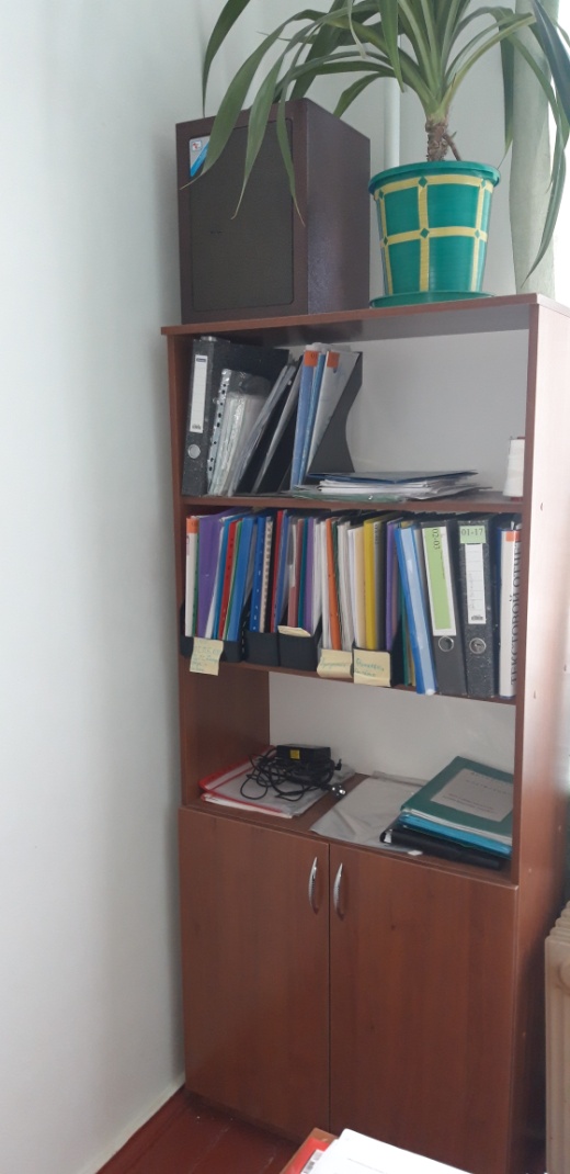 image8.jpeg
