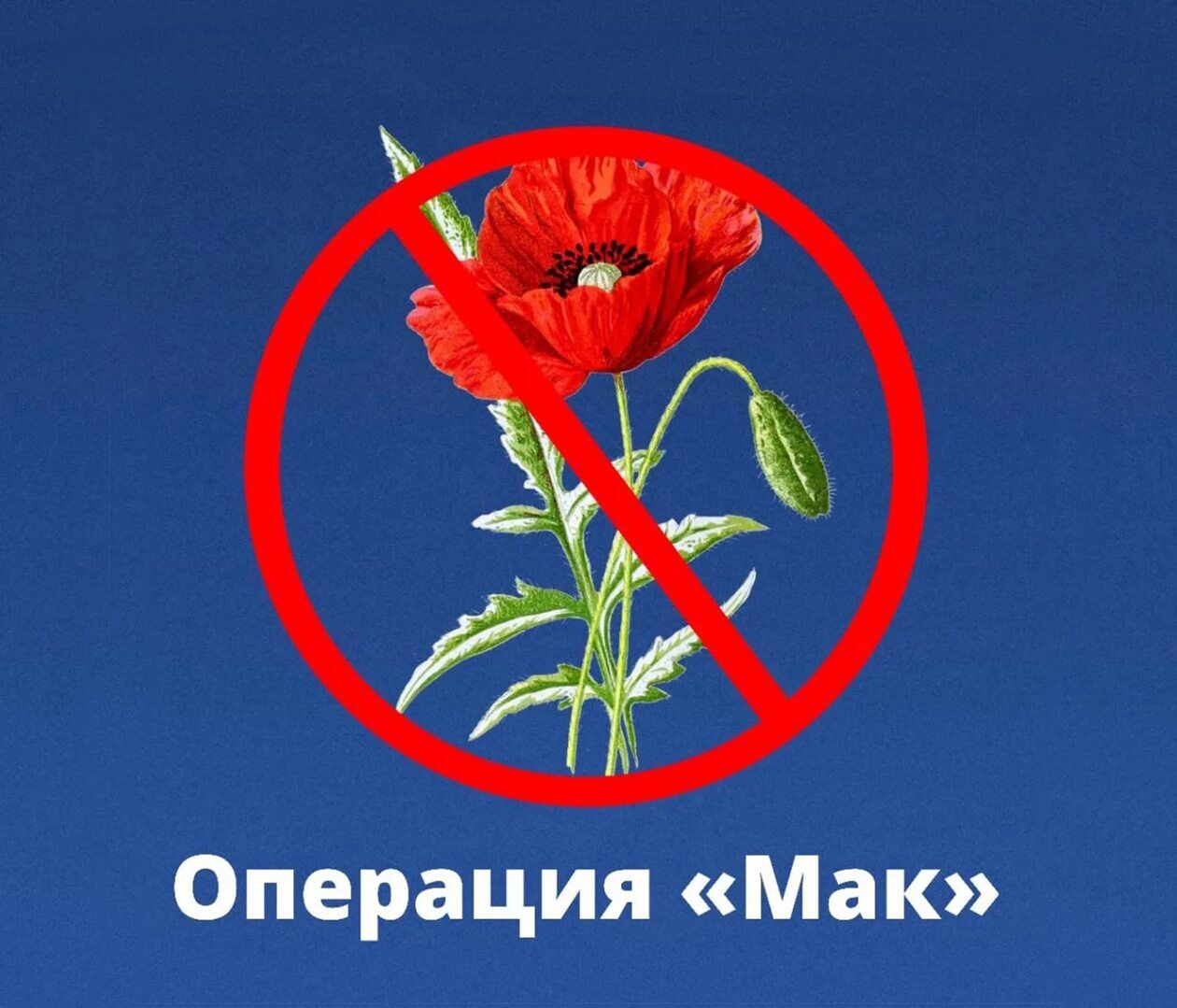  операции «Мак-2025»